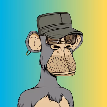 Caster Ape Yacht Club 1