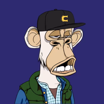 Caster Ape Yacht Club 1