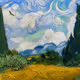 Cloudy Day