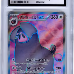 242