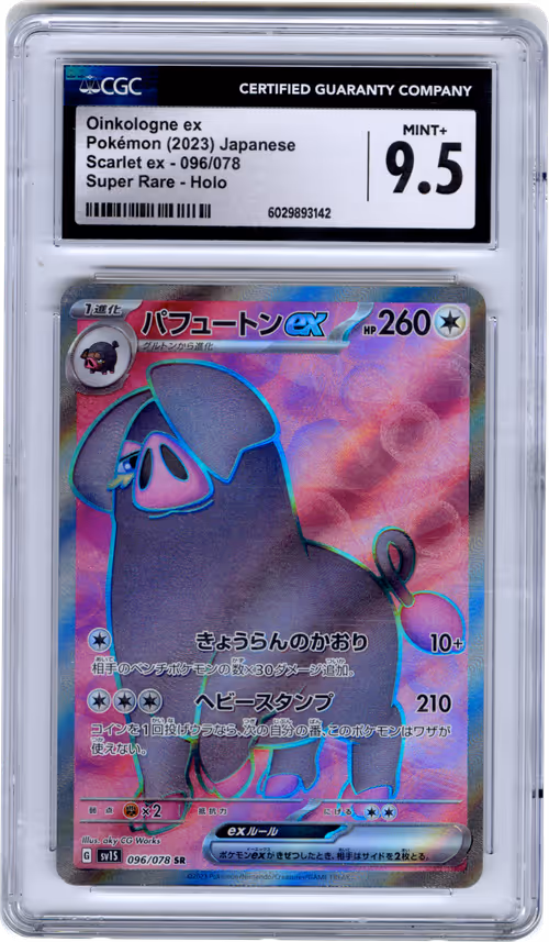 Item #242 Media