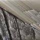 HORIZON 5