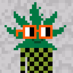 Stoned Nouns #3338