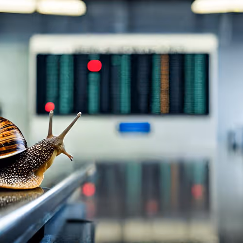 Snail Travels