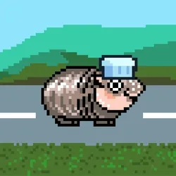 MooDeng Go #552