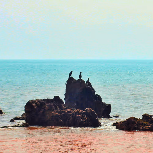 Bloody Ocean 1