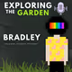 Loyalty programs, giving life to NFTS, onchain Reward: Exploring The Garden #6 ft Bradley (Stack - PFP Studio)