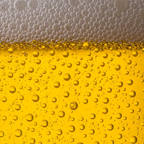 Standwithcrypto drinkbeer  #3
