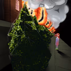 36