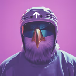 51