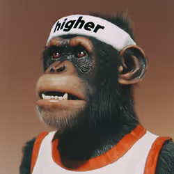 53