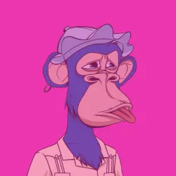 5204