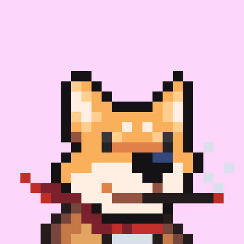 Base Shiba 2