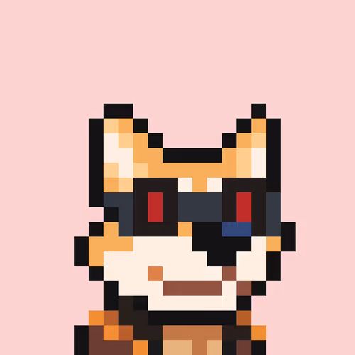 Base Shiba 2