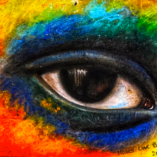 Coloured Visions