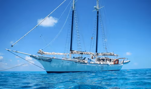 BASE sailing main 2 #31