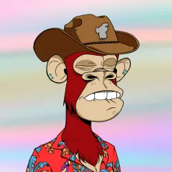 429