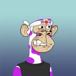 529
