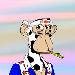 2528