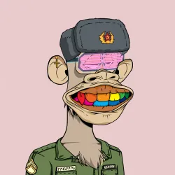 6598