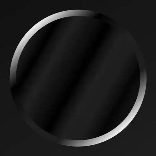 Coin By Jan Robert Leegte Limited Edition