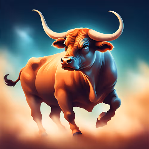 Based Bull Market on Parade and OnChain