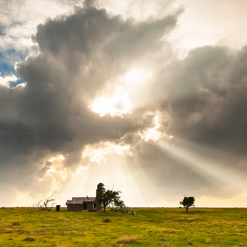 Rays Of Light 1