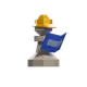 31