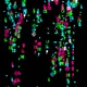 Digital Nature