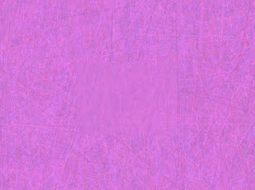 Item #5 Media