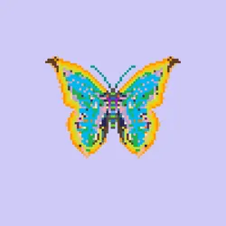 585