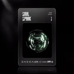 Soul Spark I