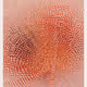 244