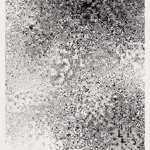 Ripples 14