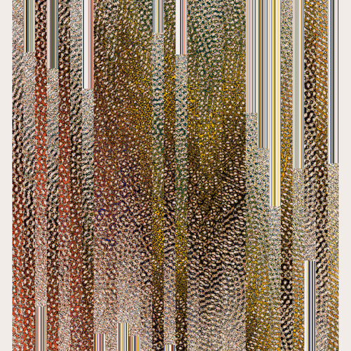 Ripples 14