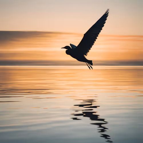 Flight Into The Horizon