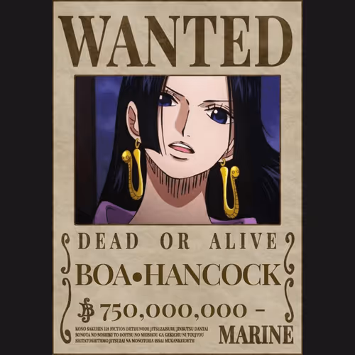 One Piece Wanted Card 1700 Card
