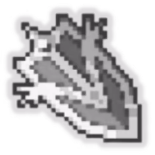 Spirit Shield