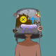 338
