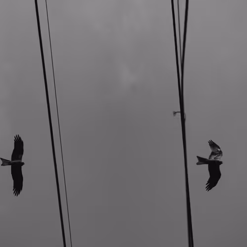 Counting Miles - A Photographic Journey