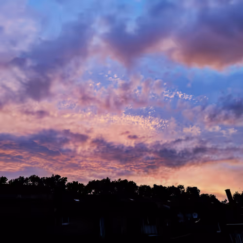 Wonderland Weather Channel