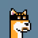 Based Doge Punk