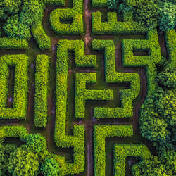LOST