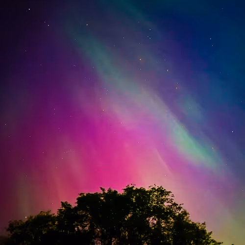 Aurora 131