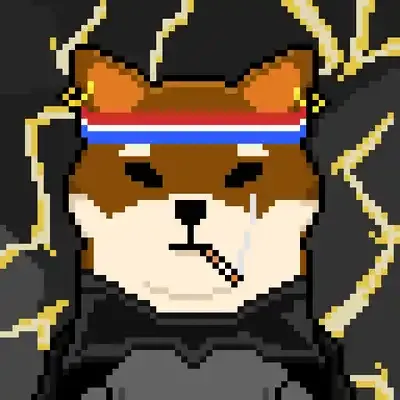 Shiba 44