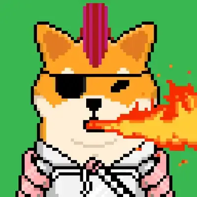 Shiba 44