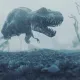 zora