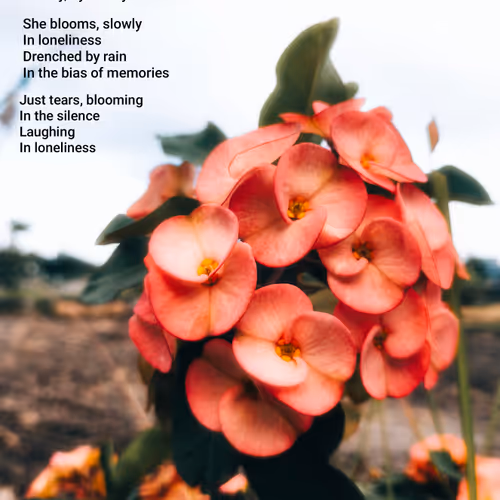 Tears Bloom