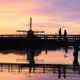 4448 Digital Art - Rodeo posts