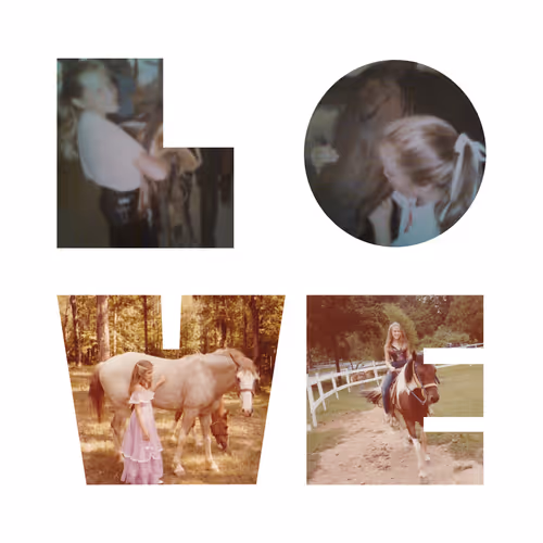Girl Who Loves Horses 79179225